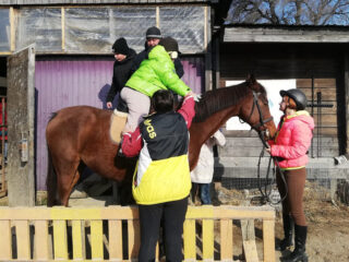 Дети с особенностями и лошади